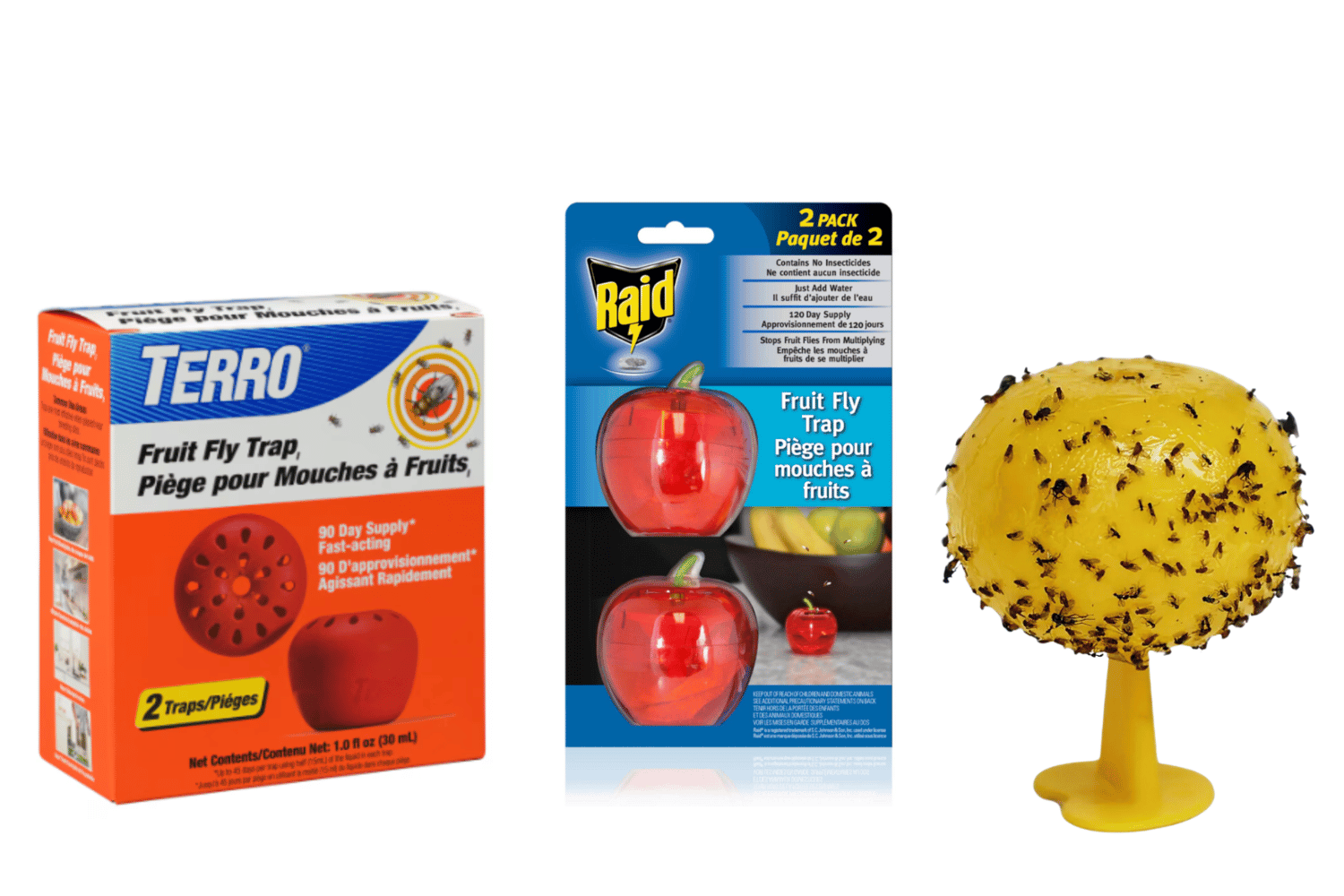 piège pour mouche a fruit